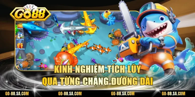 Kinh nghiệm tích lũy qua từng chặng đường dài